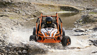 Gasoline Go Kart FR125GK factory photo 2