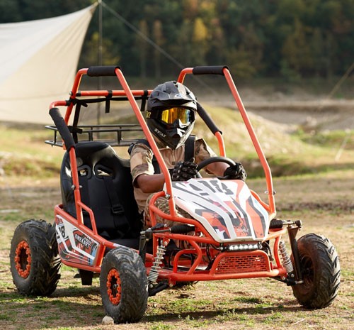 Gasoline Go Kart FR200GK factory photo 1