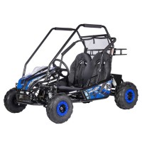 60V 2KW Electric Go Kart for Kids & First-Time Drivers