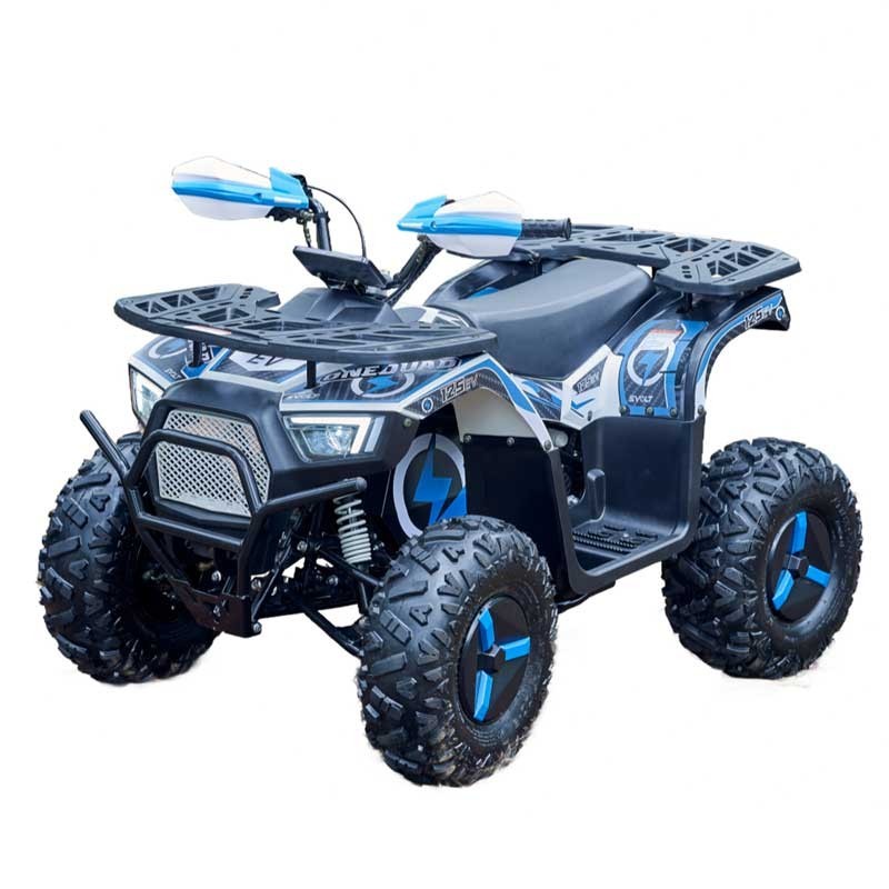 2KW Electric ATV FR20DATV-UT | OEM/ODM Manufacturer