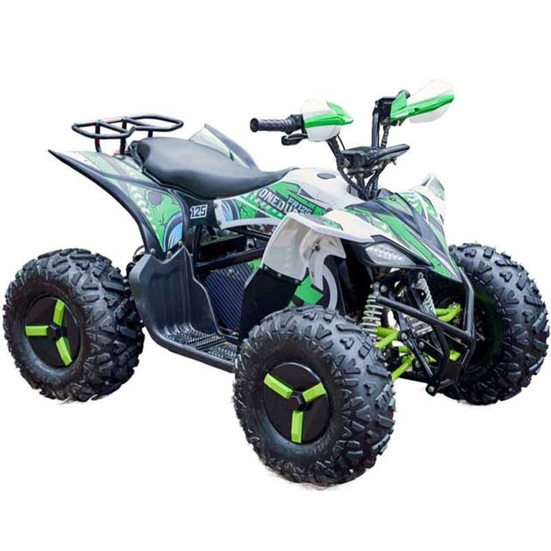 Electric Quad for Adults FR20DATV-SP OEM Manufacturer