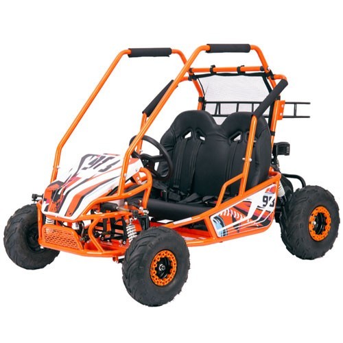 212CC Electric Start Gas Go Kart — High Torque DK170F for Adult & Rental